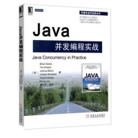 Javaʵսİ棩PDF